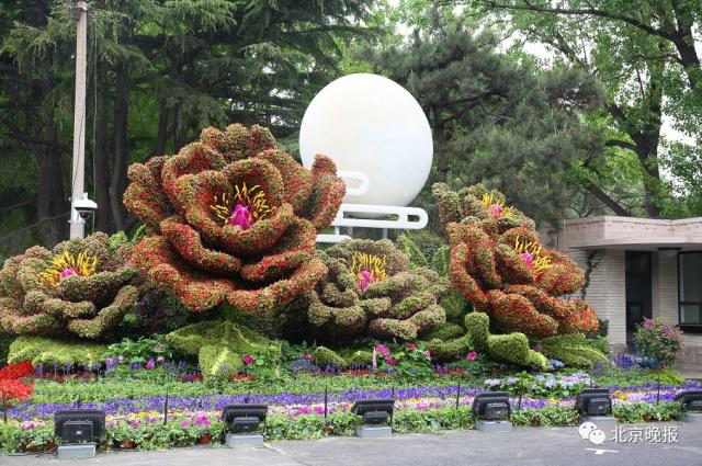 花坛布置
